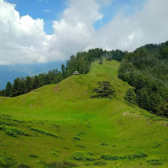 Chakrata 1 Night 2 Days