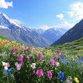 Valley of Flowers Trek 5 Nights 6 Days