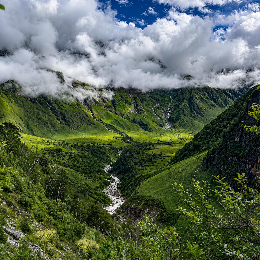 Valley of Flowers Trek 5 Nights 6 Days