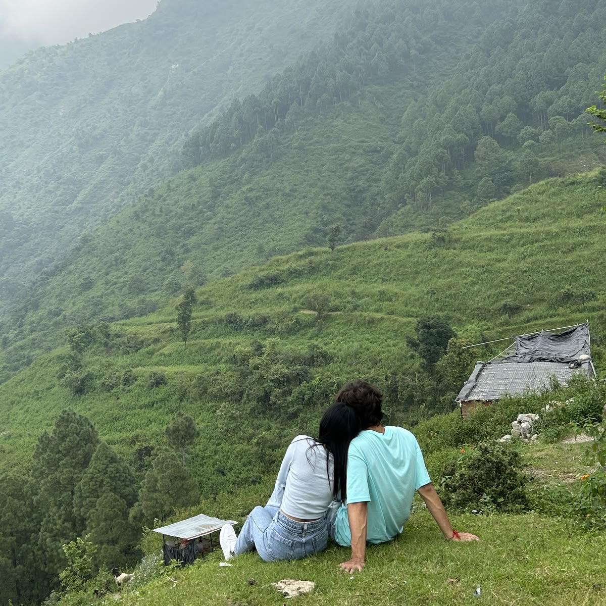 Jibhi Tirthan Valley 2 Nights 3 Days